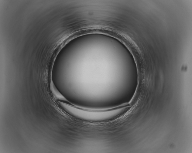 X0000097910969200803281358