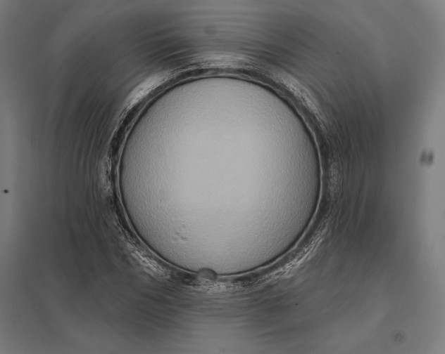 X0000097910970200803281358