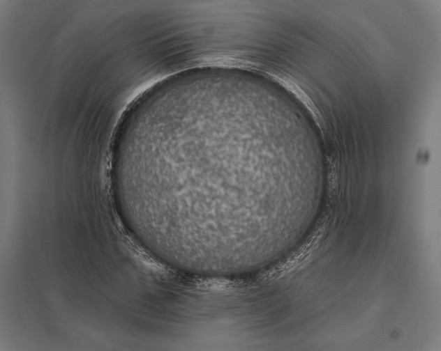 X0000097910971200803281358