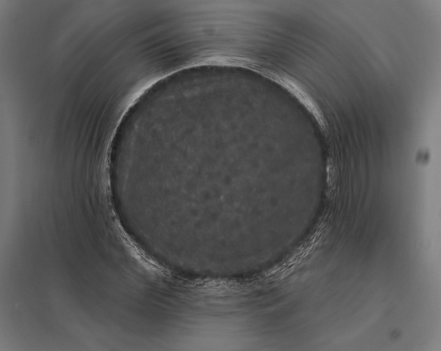 X0000097910972200803281358