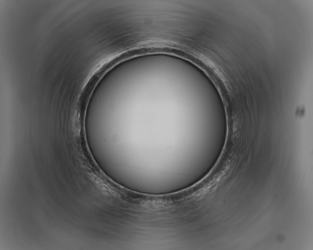 X0000097910973200803281358