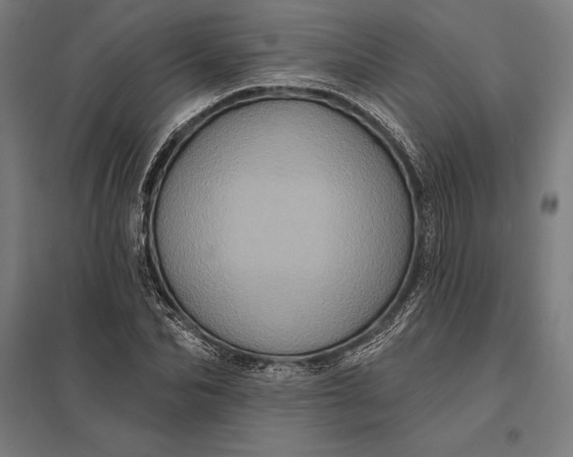 X0000097910974200803281358