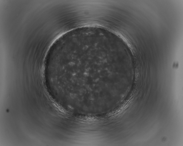 X0000097910975200803281358