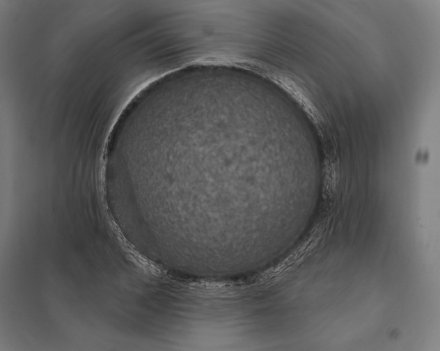 X0000097910976200803281358