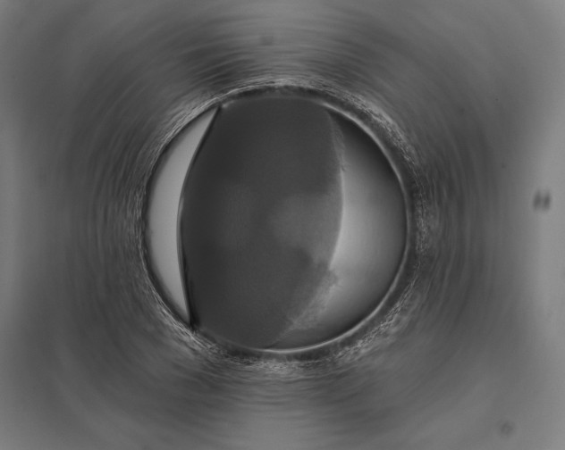 X0000097910977200803281358