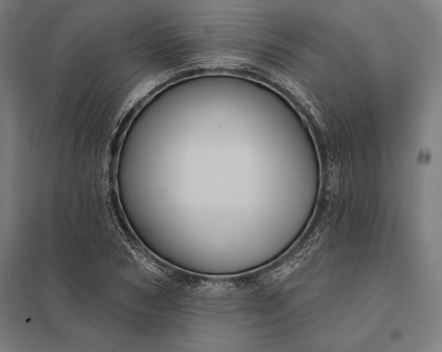 X0000097910978200803281358