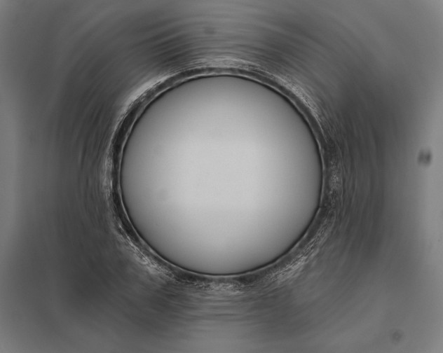 X0000097910979200803281358