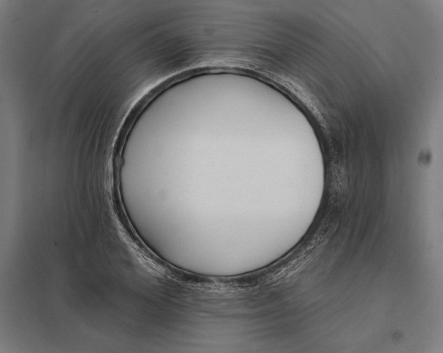 X0000097910980200803281358