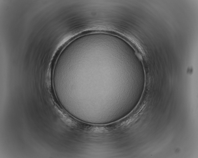 X0000097910982200803281358