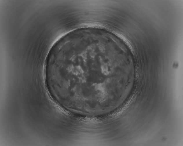 X0000097910983200803281358