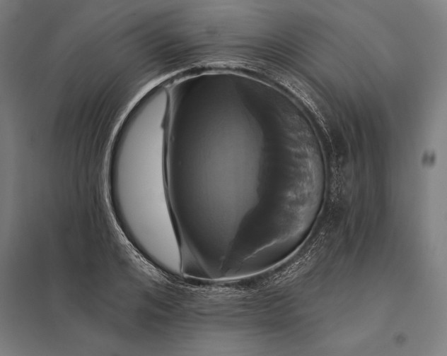 X0000097910984200803281358