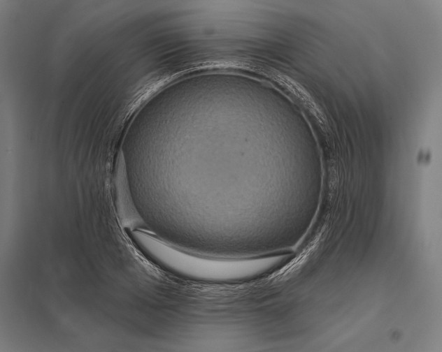 X0000097910985200803281358