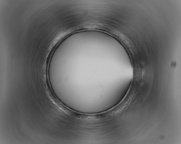 X0000097910986200803281358