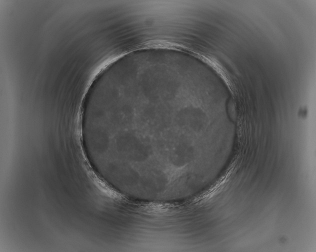 X0000097910987200803281358