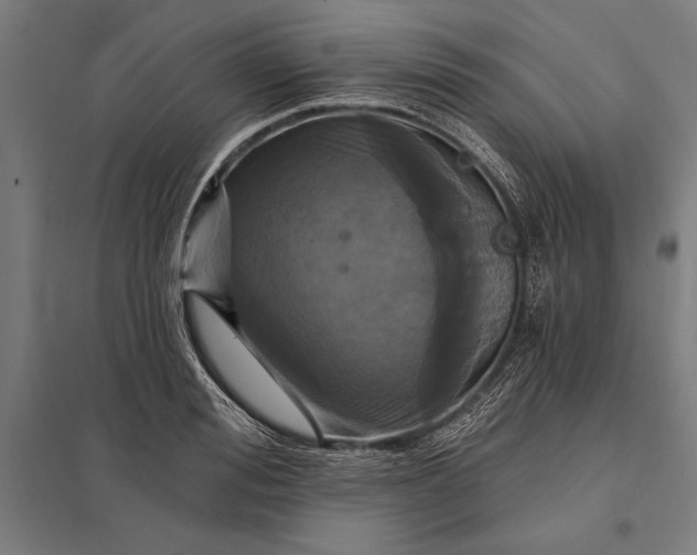 X0000097910988200803281358