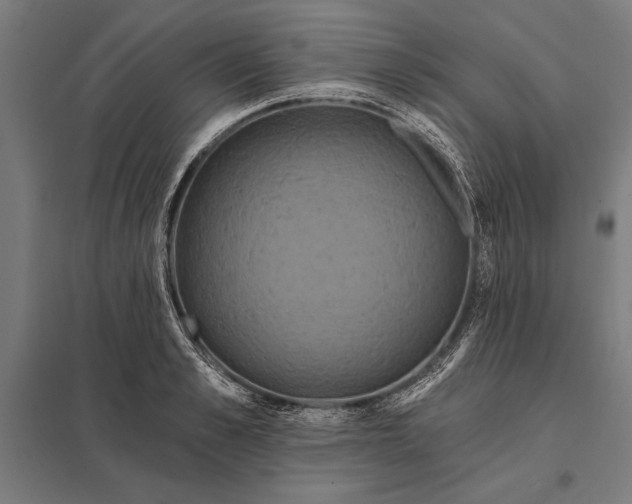 X0000097910989200803281358