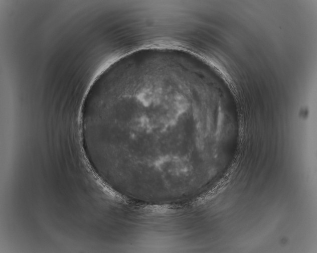 X0000097910990200803281358