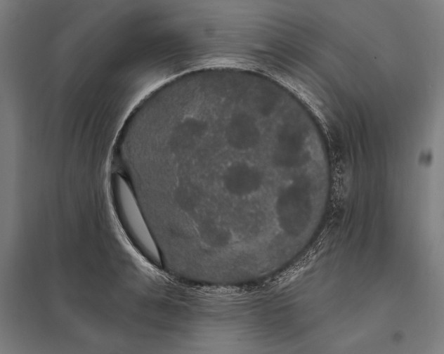 X0000097910991200803281358