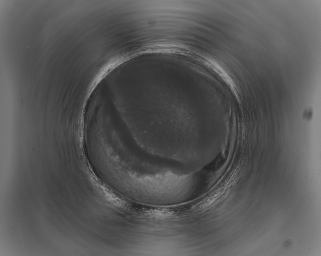 X0000097910994200803281358