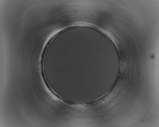 X0000097910995200803281358