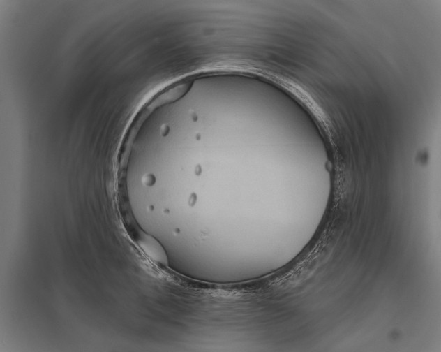 X0000097910996200803281358