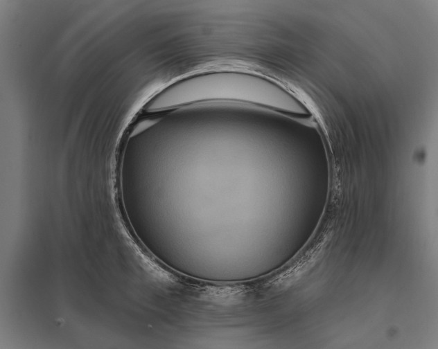 X0000097910997200803281358