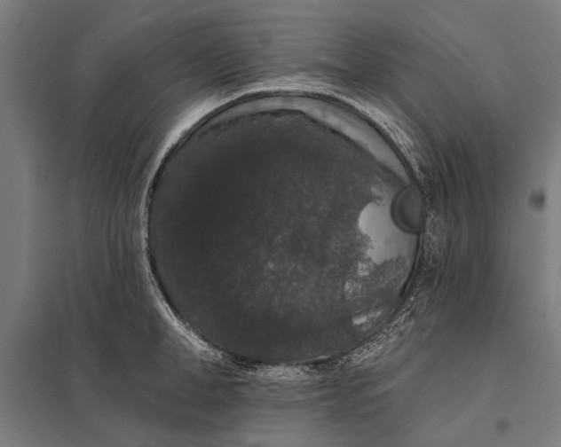 X0000097910998200803281358