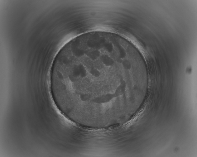 X0000097910999200803281358