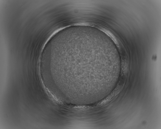 X0000097911000200803281358