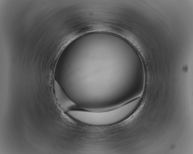 X0000097911001200803281358