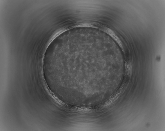 X0000097911002200803281358