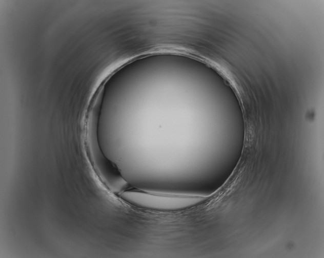 X0000097911003200803281358