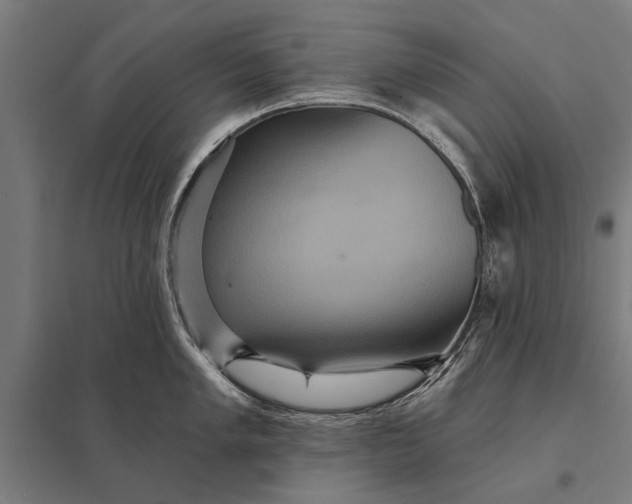 X0000097911005200803281358