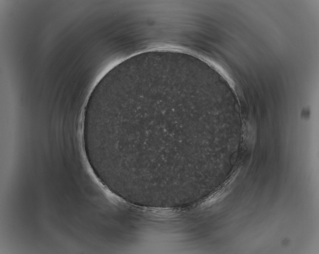 X0000097911007200803281358