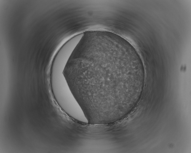 X0000097911008200803281358