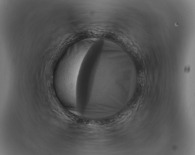 X0000097911009200803281357