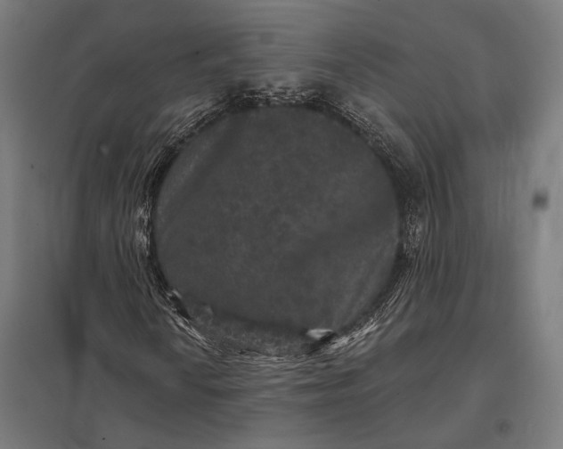 X0000097911010200803281357