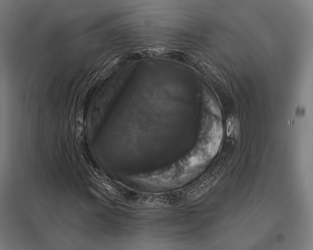 X0000097911011200803281357