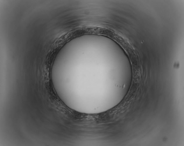 X0000097911013200803281357