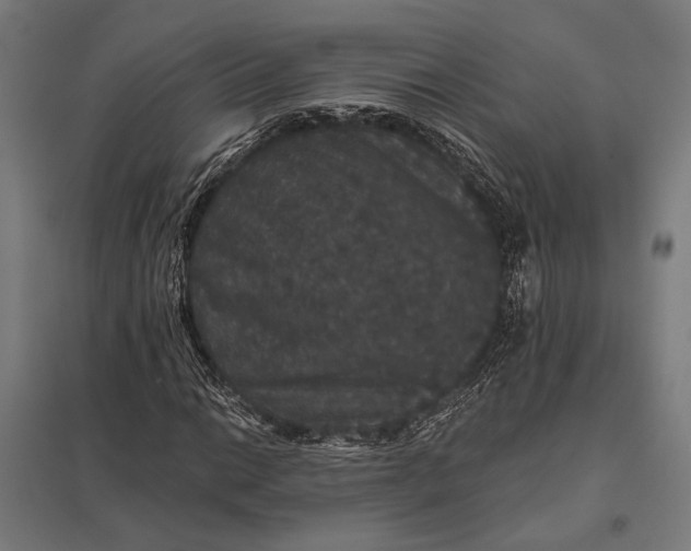 X0000097911014200803281357