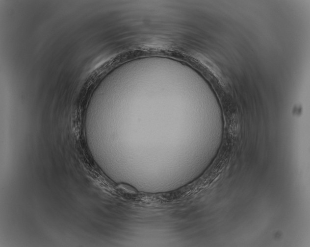 X0000097911015200803281357