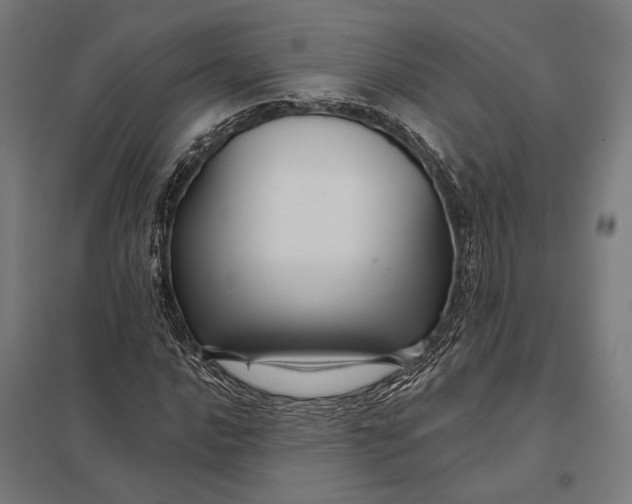 X0000097911016200803281357