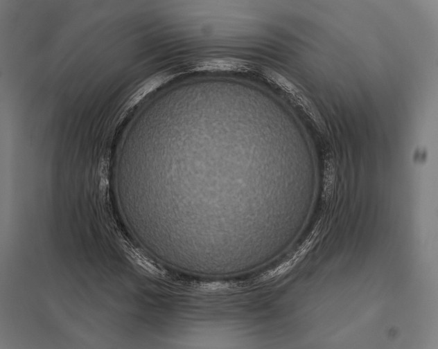 X0000097911017200803281357