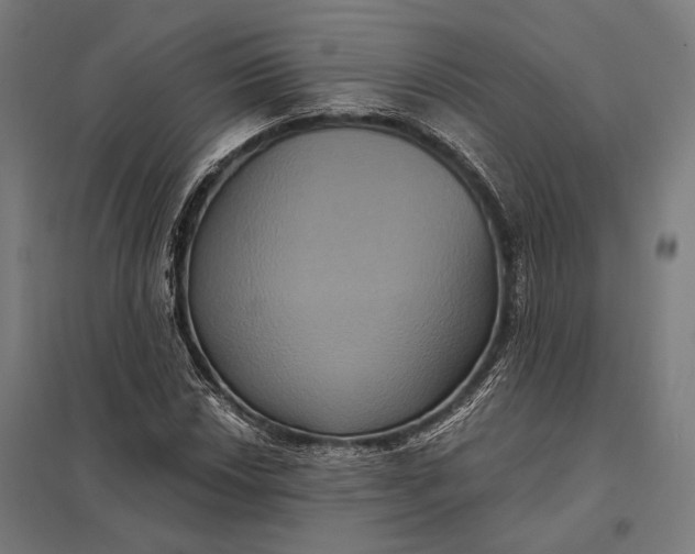 X0000097911018200803281357