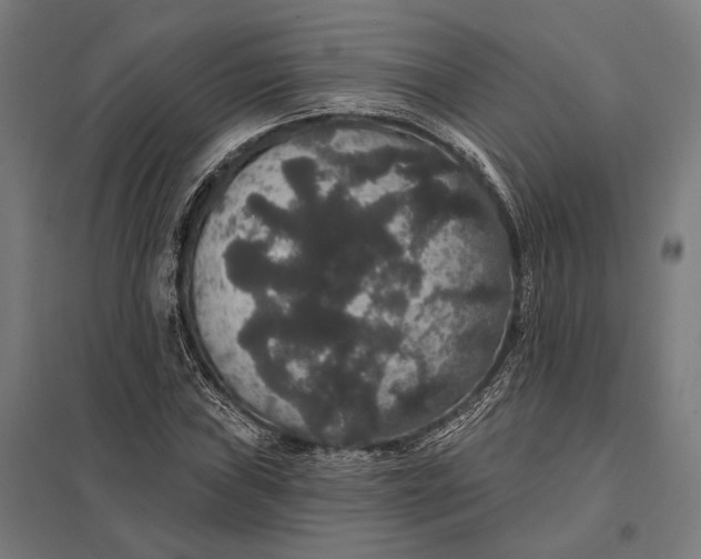 X0000097911019200803281357