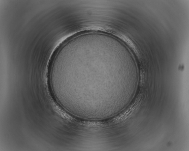 X0000097911020200803281357