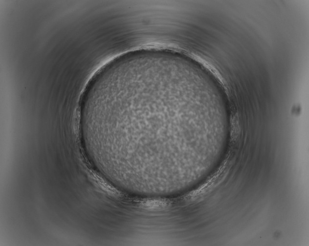 X0000097911021200803281357