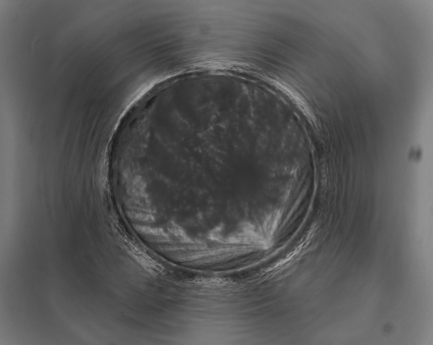 X0000097911023200803281357