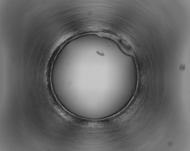 X0000097911026200803281358