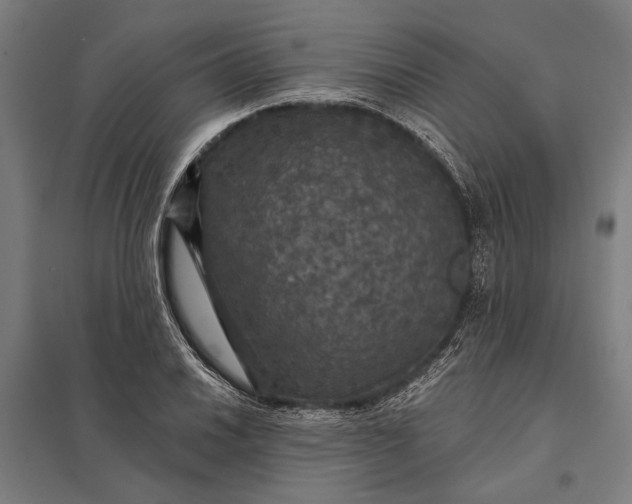 X0000097911030200803281358